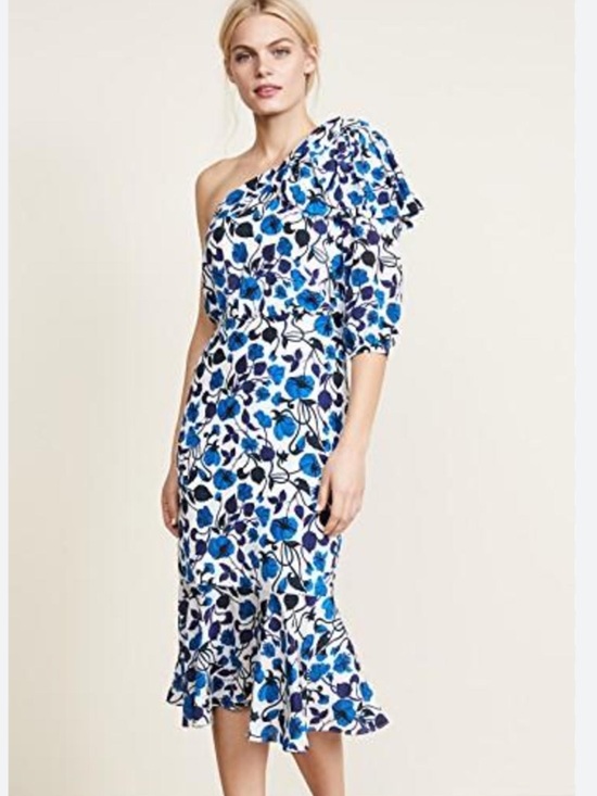 SALONI Dresses & Skirts - Saloni Silk Juliet Dress in Forget Me Not